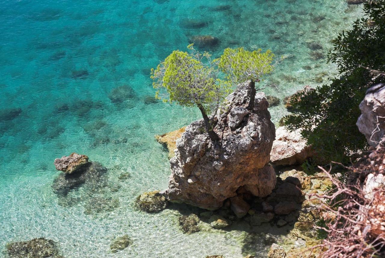 Villa Nedika Podgora Exteriör bild